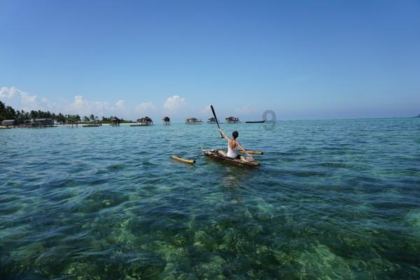 海之号角神秘海怪